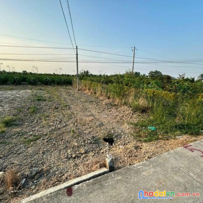 Ở đây bán lô đất ở đường vườn thơm, bình chánh 180m2. giá hấp dẫn chỉ 2 tỷ250