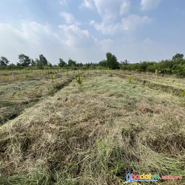Đang hụt tiền cần bán đất đường mai bá hương,lê minh xuân, bình chánh, 160m2, 2 tỷ 950tr.