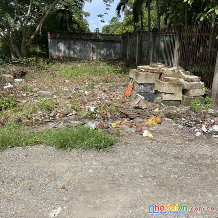 Em cần thanh lý ngay lô đất ở bình lợi hòa khánh đông giáp tt đức hòa 

