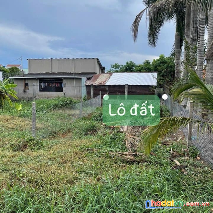 Định cư nơi khác cần nhượng lại đất ở đường thanh niên ,