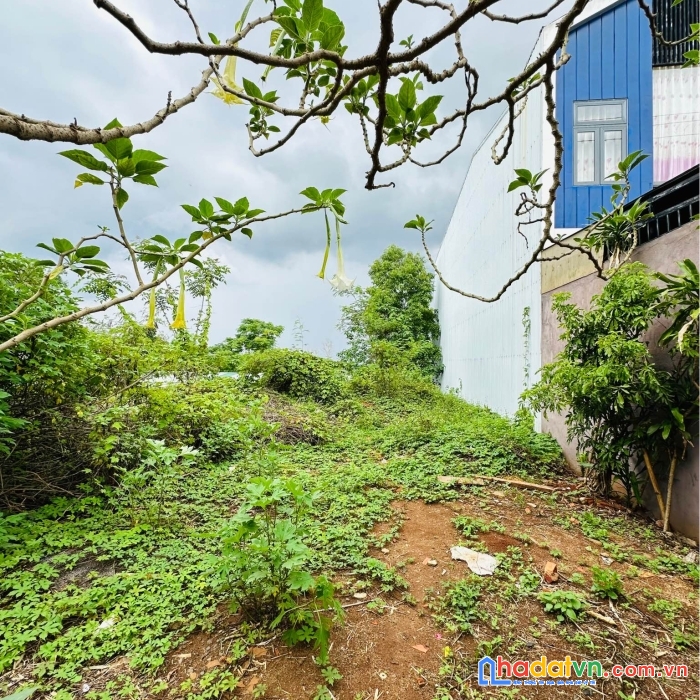 Cần tiền cưới vợ cho con bán lẹ lô đất ở lê đình chi , 110m2 ,giá 1,92 tỷ 