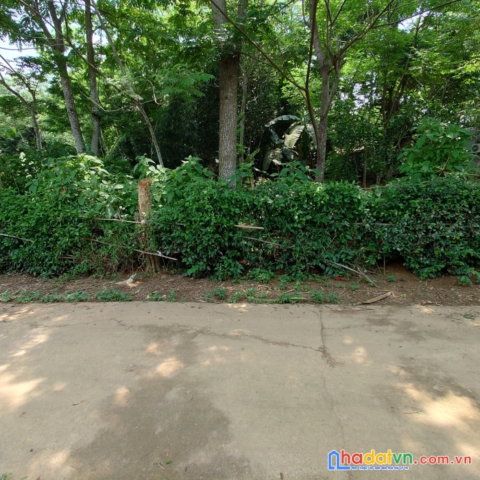  tôi bán 781m2 đất sổ đỏ xã tân mỹ, huyện lạc sơn, hoà bình