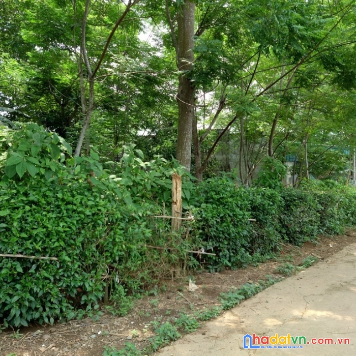  tôi bán 781m2 đất sổ đỏ xã tân mỹ, huyện lạc sơn, hoà bình