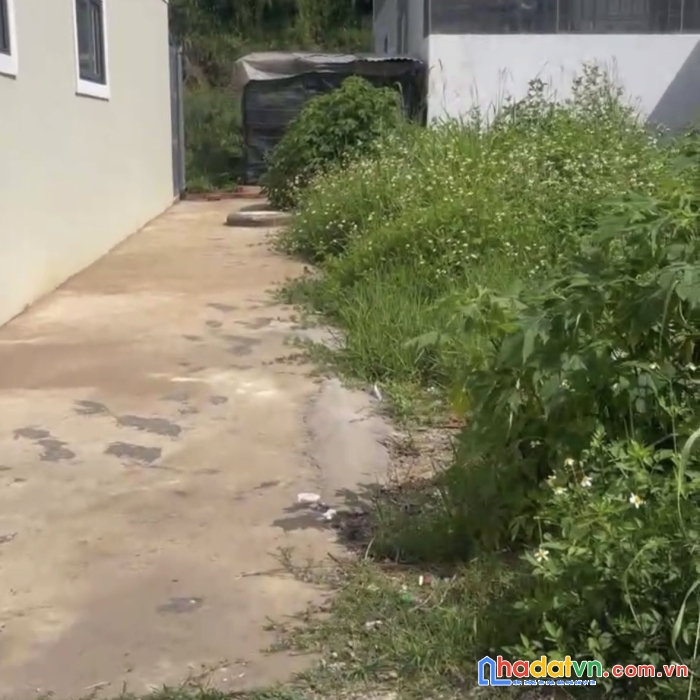 Cần bán đất kqh dân cư số 5, phường 4, tp đà lạt, lâm đồng 