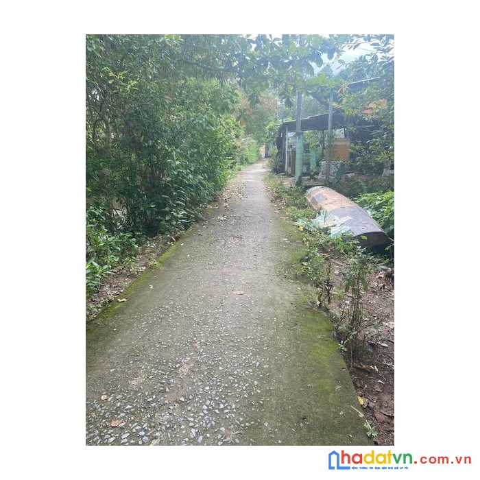 600tr - 246m² rạch bà bống, mỹ khánh, tp.long xuyên, an giang  