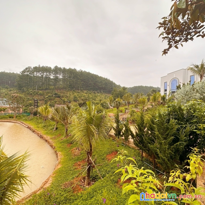 Bán 1,2ha đất rộng cùng biệt thự triệu đô mê linh chỉ 24tỉ, nhanh lẹ 