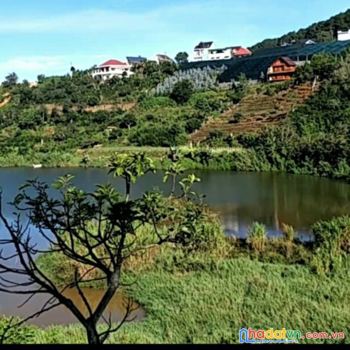 Cần bán 2000m2 đất view xuân trường, tp đà lạt, lâm đồng 