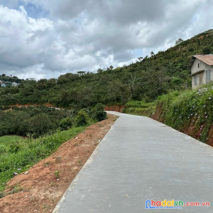 Cần bán 2000m2 đất view xuân trường, tp đà lạt, lâm đồng 