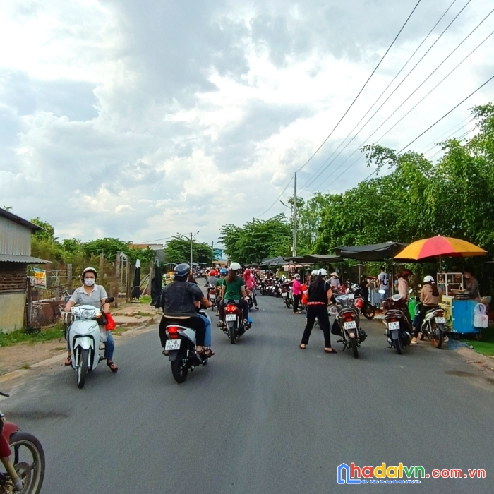 Bán nền đường cổng cty tbs khu công nghiệp phú hoà an giang  