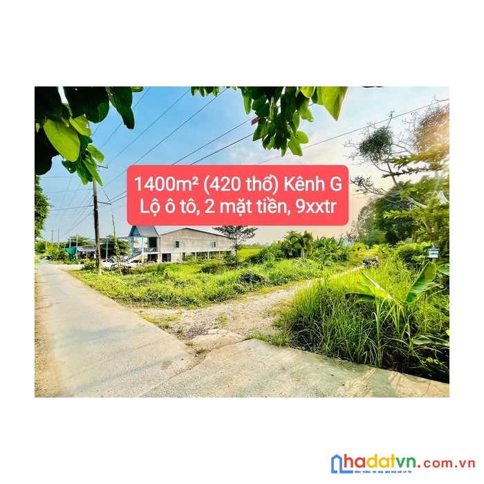 Bán 1400m2 có 420 thổ, 2 mặt tiền kênh g,định thành 