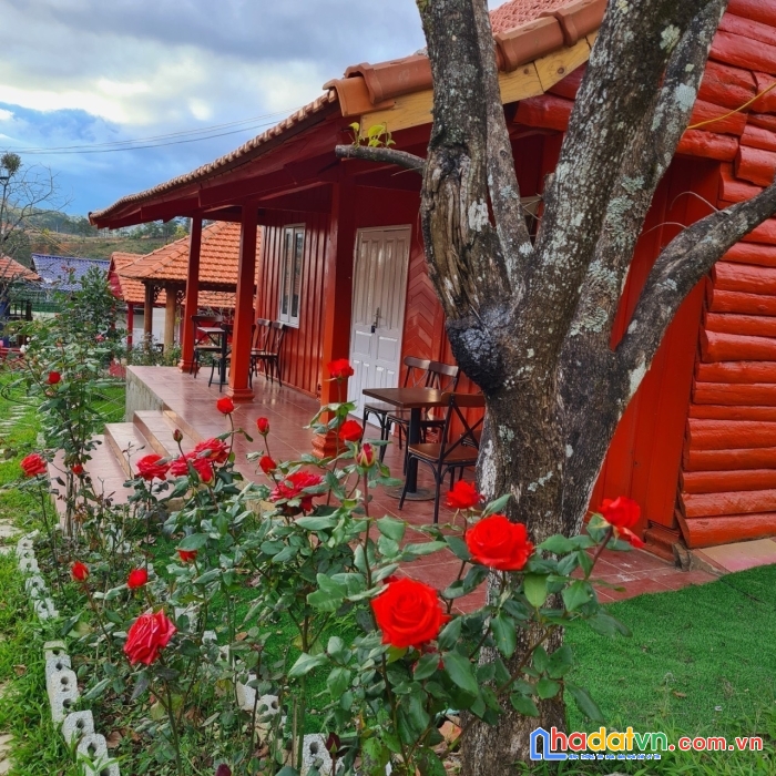 Bán  khu đất đarahoa có homestay, đối diện kqh sân golf 