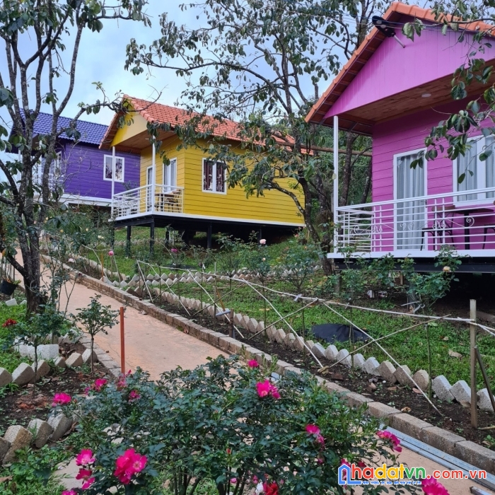 Bán  khu đất đarahoa có homestay, đối diện kqh sân golf 