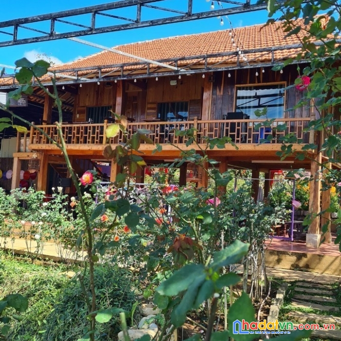 Bán  khu đất đarahoa có homestay, đối diện kqh sân golf 