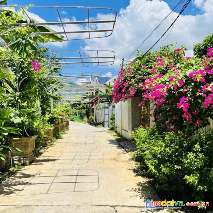 Bán đất gần bên xe phía nam nha trang giá 8tr7m diên toàn diên khánh