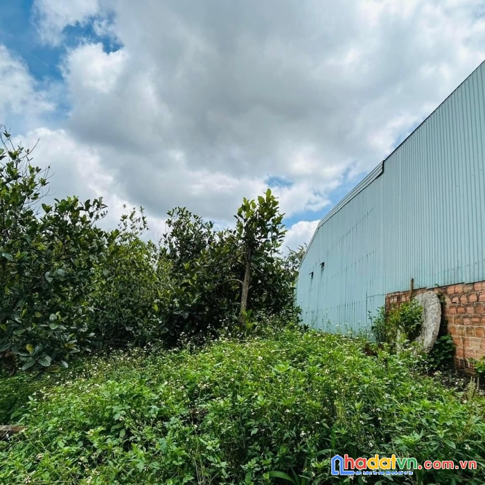 Thanh lý nền đất ở trần văn giàu,bình lợi , bình chánh