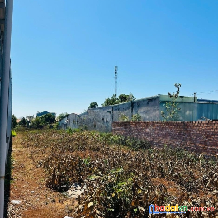 Ở đây tôi bán lô đất đẹp 120m2 tại võ hữu lợi , lê minh xuân