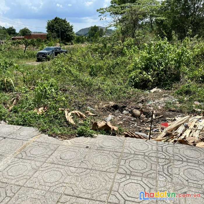 Cần bán đất mặt tiền đường phạm ngọc thạch đạ huoai lâm đồng