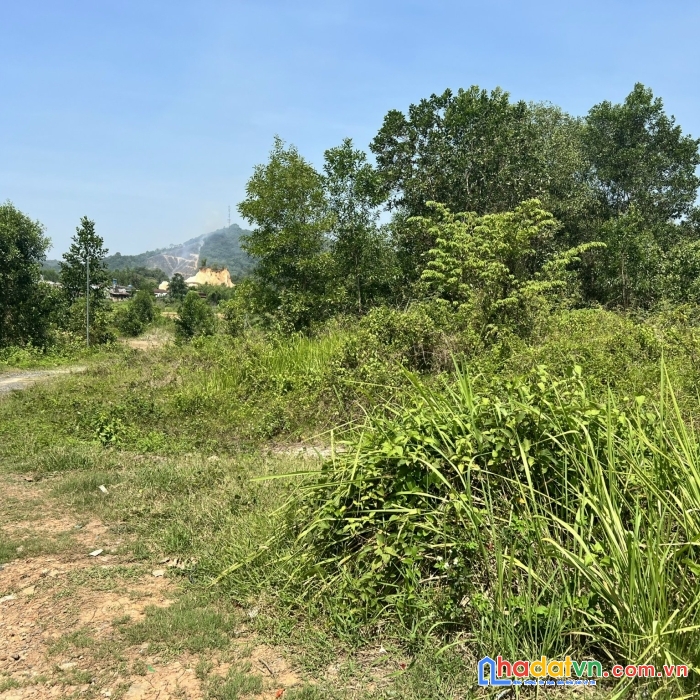 Cần bán đất mặt tiền đường phạm ngọc thạch đạ huoai lâm đồng