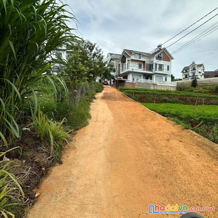 Bán đất đà lạt, hẻm ô tô trịnh hoài đức, 89m2 1tỉ8,