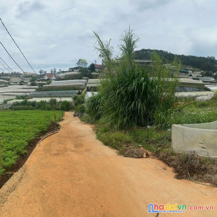Bán đất đà lạt, hẻm ô tô trịnh hoài đức, 89m2 1tỉ8,