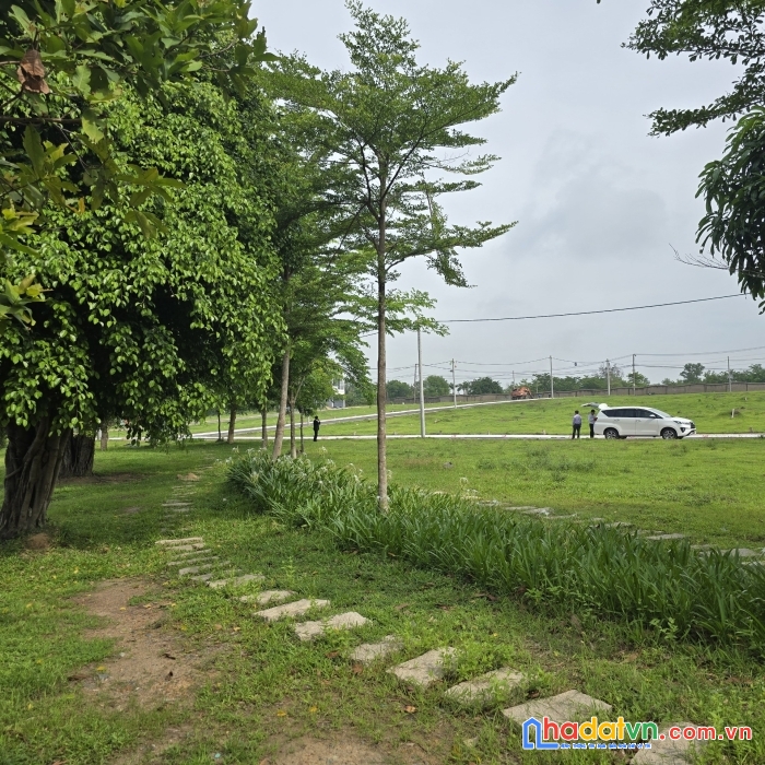 Bán gấp lô đất nền ngay công viên 100ha view hồ trung tâm thành phố biên hòa.