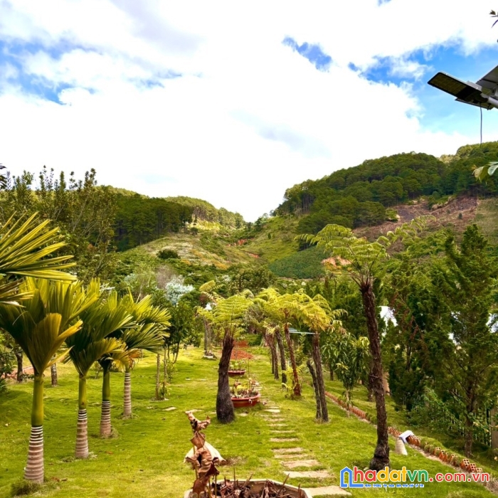 Bán 2000m2 đất tà nung tp đà lạt, có sẵn vườn nhiều loại trái cây, 12tỉ, lh 0888-113-882
