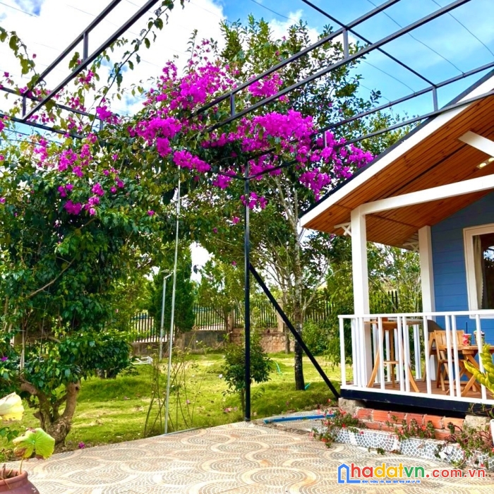 Bán 2000m2 đất tà nung tp đà lạt, có sẵn vườn nhiều loại trái cây, 12tỉ, lh 0888-113-882
