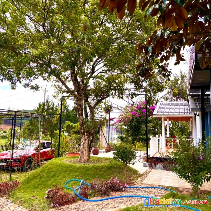 Bán 2000m2 đất tà nung tp đà lạt, có sẵn vườn nhiều loại trái cây, 12tỉ, lh 0888-113-882
