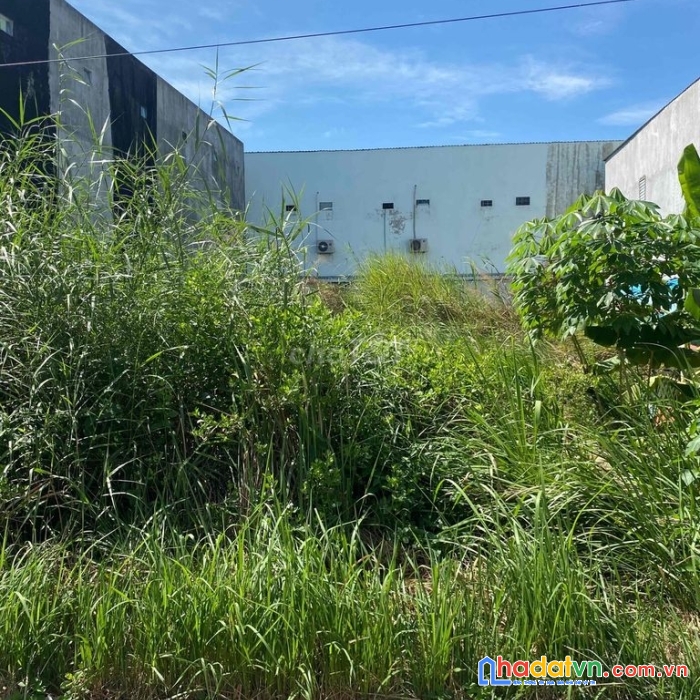 125m2 đất ở long hậu, cần giuộc