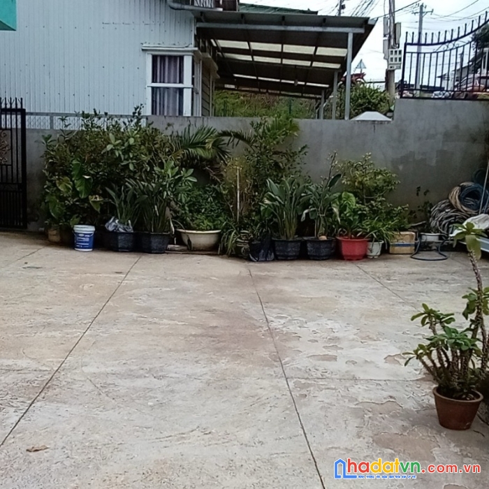 Bán rẻ nhà mặt tiền đường vạn thành, phường 5 đà lạt, full đất ở đô thị