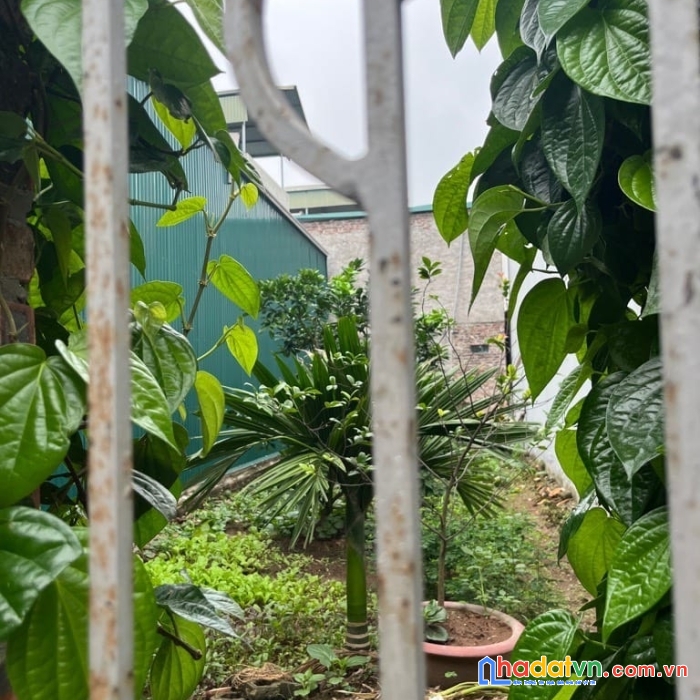 Bán đất xuân đỗ - cự khối, long biên, 98m, mt 5m. giá: 8.3 tỷ