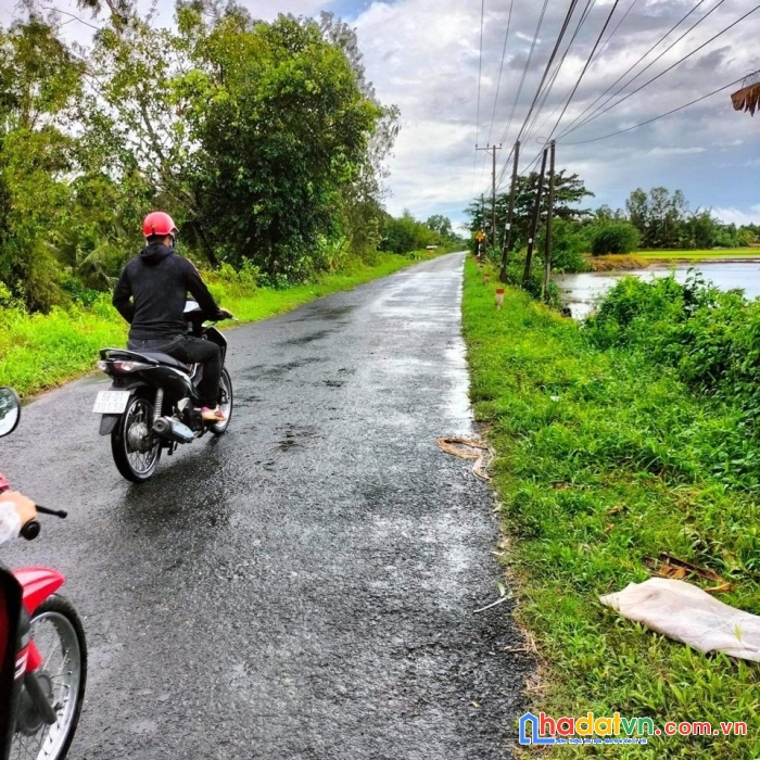 Bán đất mặt tiền tỉnh lộ 963 