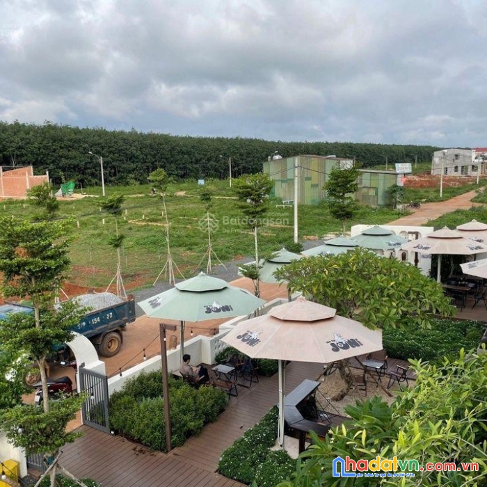 Đất đấu giá trung tâm uỷ ban phú lộc - đăk lăk - chỉ từ 5 triệu/m² - cơ hội cho nhà đầu tư thông thái.