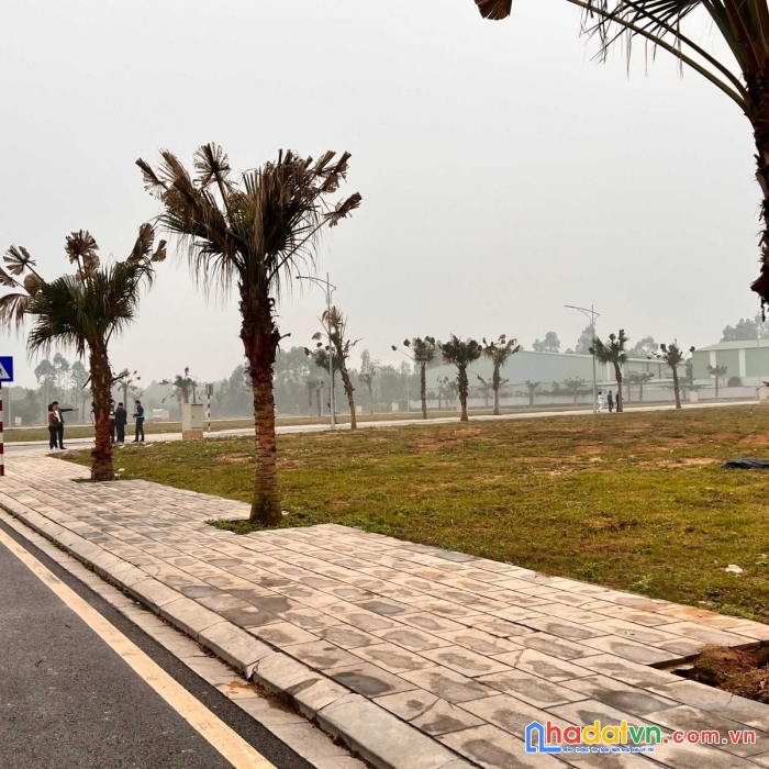 Đầu tư đất việt trì spring city dt 90m2, vân phú,giá chỉ 2 tỷ