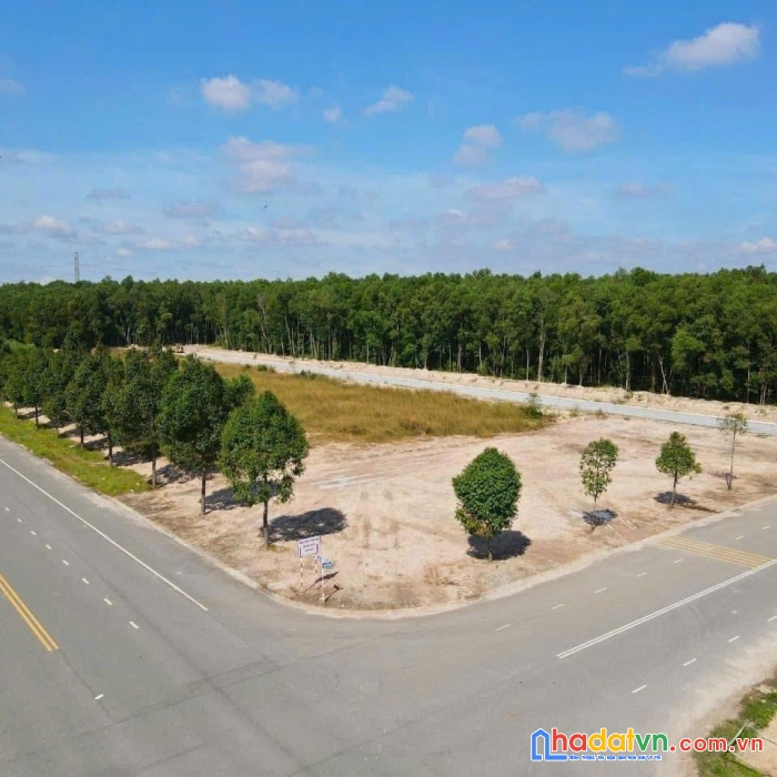 Cần chuyển nhượng gấp lô đất 5x30m tại đường n9 ngay kcn bàu bàng chỉ 8tr/m2
