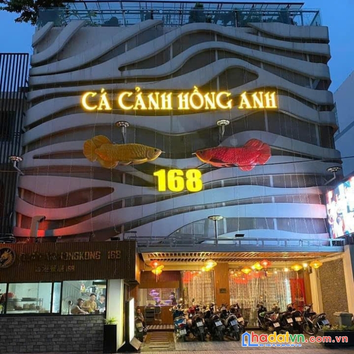 Cho thuê nhà 168 đào duy anh phường 9 quận phú nhuận
