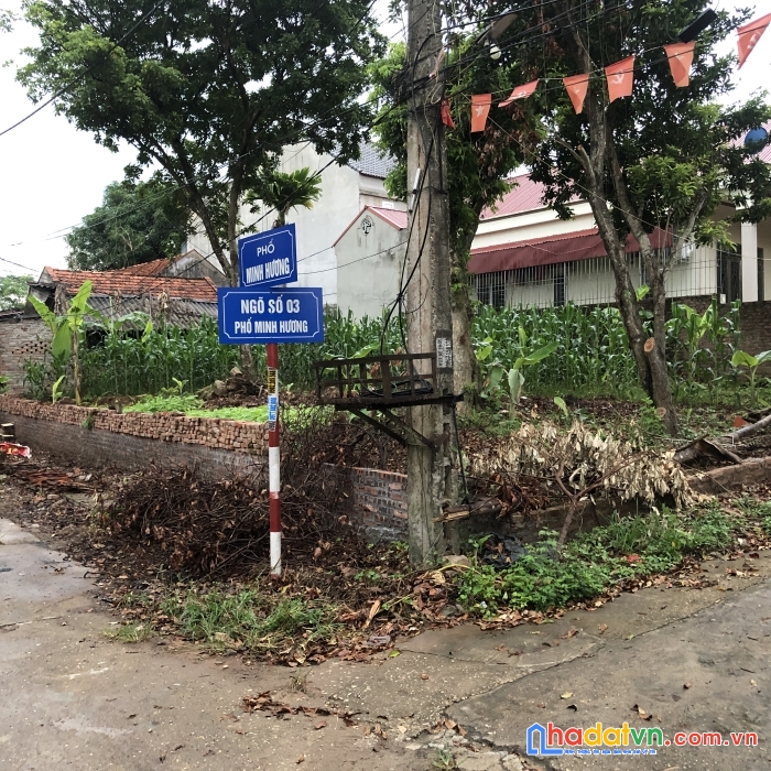 Bán đất thổ cư 200m2 chính chủ tại phố minh hương, tt. hưng hóa, tam nông, phú thọ