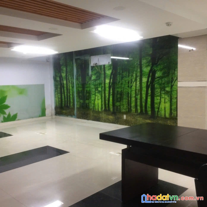 Chính chủ cho thuê nguyên tòa nhà 1 hầm + 5 lầu rộng 780m2 giá tốt, ngay trung tâm quận tân bình