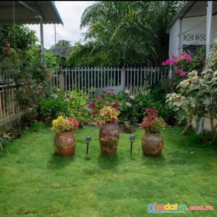 Bán đất mặt tiền ql20 kèm quán cafe chill phú hội đức trọng