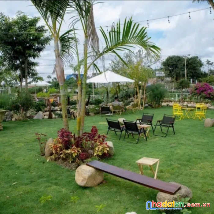 Bán đất mặt tiền ql20 kèm quán cafe chill phú hội đức trọng