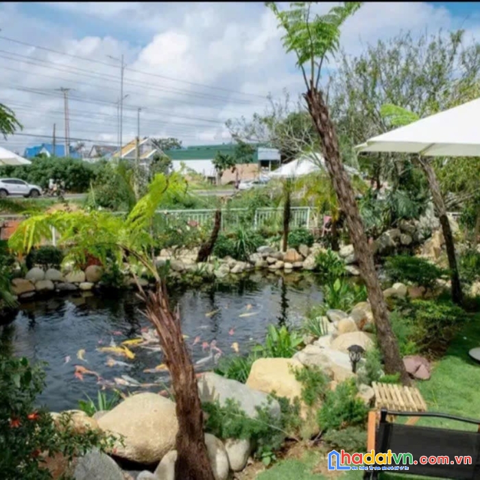 Bán đất mặt tiền ql20 kèm quán cafe chill phú hội đức trọng