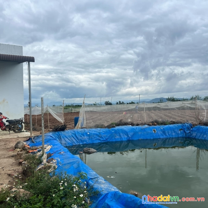 Bán 3,2 sào, 52m mặt hẻm, nhà cửa điện nước ao hồ đầy đủ
