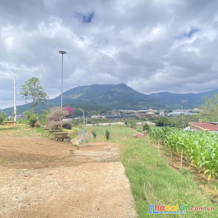 Lụm liền chiếc view triệu đô này cho e nha khách...