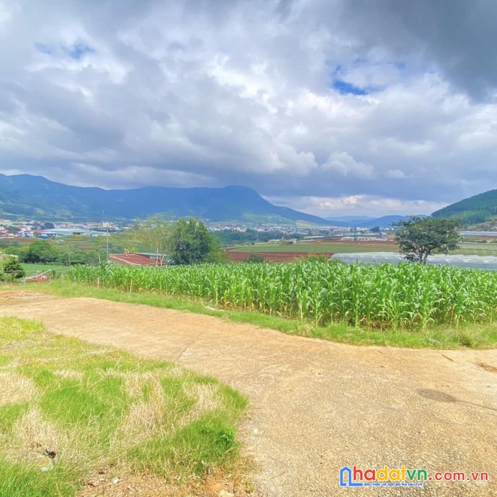 Lụm liền chiếc view triệu đô này cho e nha khách...