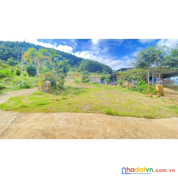 Lụm liền chiếc view triệu đô này cho e nha khách...