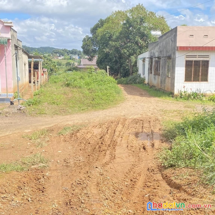 Đất mặt tiền dh1, n'thôn hạ đức trọng, gần nông dược đame, chợ, ngã 3 cửa rừng...