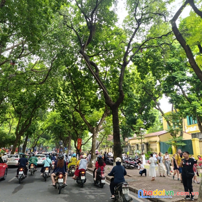 Hiếm-ôtô gần nhà-mặt ngõ phan đình phùng-4 tầng-nhà đẹp phân lô-sổ vuông-7.6 tỷ