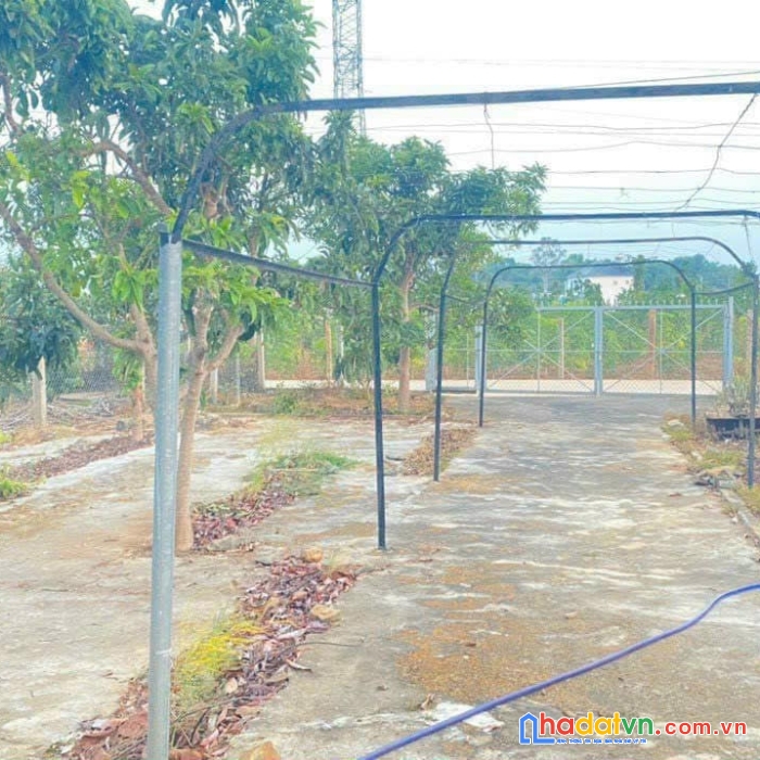 Bán 675m2 đất hẻm thuộc phú bình phú hội đức trọng lâm đồng