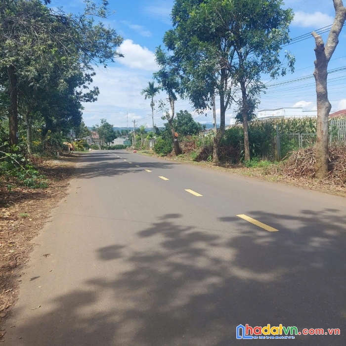 Cần bán đất mặt tiền đường nhựa xã tân thành,đức trọng