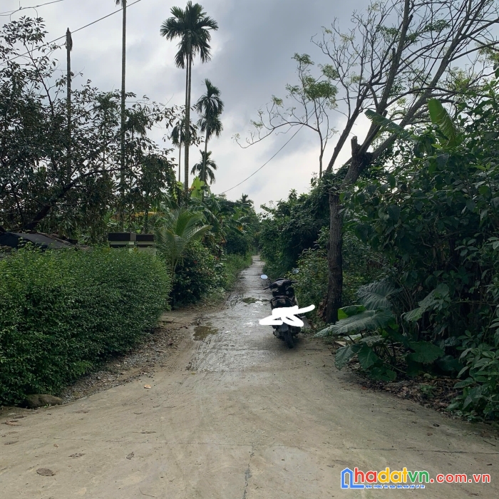 ❌❌❌ đất hội an mà giá vài trăm triệu - 04 lô liền kề ngay trung tâm hội an